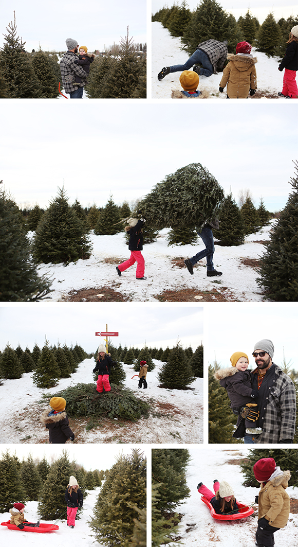 tree-hunt-2015